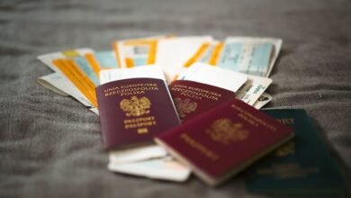 registry verification ids analyzed
