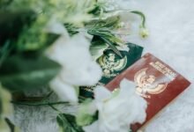 verified registry records for listed ids
